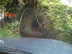 Entrance to the lane just outside Pett Place in Kent