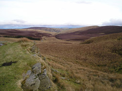 halfway on the Wayfarers Way