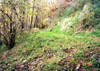 The track rising from the bottom of the hill