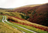 The wayfarer's way