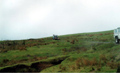 "Dorothy" the Landrover coming over the crest at Cefn Hir-fynydd lane