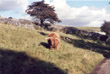 The October 2002 GLASS weekend in Derbyshire