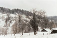 winter view from the bedroom in Gozanka, south east Poland 