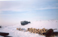 Landrover 110 CSW with Dick driving showing how its done at -25c
