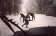 Impromptu snow ball fight on taboggan run in the woods in south east Poland