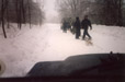 Re-assemble for a further toboggan run through the woods in south east Poland