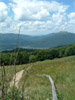 Looking back down the trail on-route to the summit of Tarnica