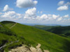 Path to the Summit on Tarnica