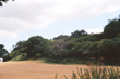 View across the fields near Standon in Herts