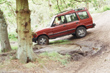 Land Rover Discovery in Mymmshall woods, Hertfordshire