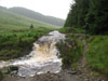 Strata Florida in full flow