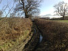 deeply rutted lane that has brought the Discovery to a halt
