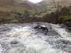 View of the water cascading over the top of the Pistyll waterfall (Wales' highest waterfall)