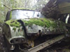 FB Victor succumbs to the undergrowth