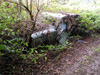 Mark 1 Cortina disguised as a bush