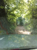 Tiny lane not driven often 