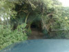 Rabbit hole or green lane, that is the question