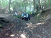Discovery near the summit